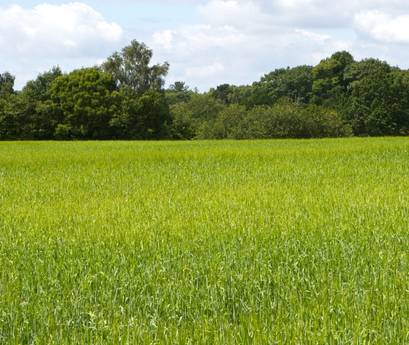 Areas We Serve - Yealmpton - Landmark Windows and Doors